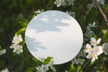 Seasonal festive layout. This image showcases a white circular layout among blooming flowers, ideal for spring themed mockups.の写真素材