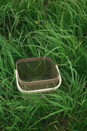 This image features a harvest basket nestled in vibrant green grass, ideal for spring layouts or...