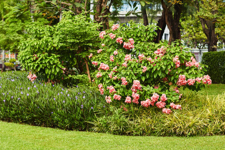 A garden features vibrant pink flowers among lush greenery and diverse plant life, showing a serene...