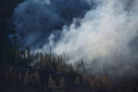 Dense smoke emerges from a forest as a fire spreads through the trees, creating a dramatic contrast...