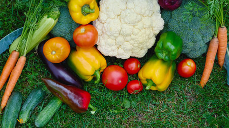 Colorful vegetables including peppers, tomatoes, and broccoli are scattered across lush green grass, highlighting fresh garden produce. Copy spaceの写真素材
