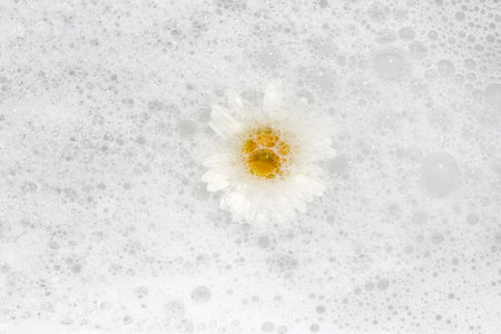 A single daisy with white petals and a yellow center rises above a layer of soft, white foam, creating a tranquil visual contrast. This serene moment highlights the simplicity of nature.の写真素材