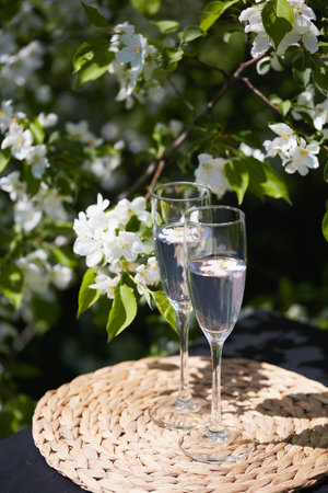 Festive event in nature. Two elegant glasses filled with sparkling drinks rest on a woven mat, surrounded by fresh white flowers in a sunny outdoor setting.の写真素材