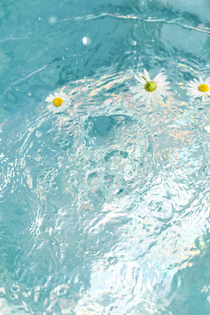 Water glistens under sunlight, showcasing soft waves and delicate daisies drifting on the surface. The tranquil atmosphere invites relaxation and contemplation.の写真素材