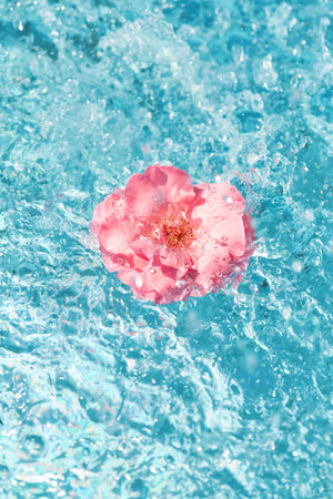 A delicate pink flower rests on vibrant blue water, with splashes creating ripples. The scene evokes a sense of calm and natural beauty, capturing the essence of serenity.の写真素材