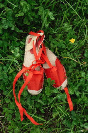 This image features vintage red ballet shoes resting on lush green grass, ideal for dancethemed layouts or mockups. Perfect for promoting dance products or events.の写真素材