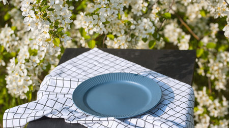 Panoramic product nature banner. A beautiful blue plate on a patterned cloth, perfect for spring gatherings or holiday layouts.の写真素材