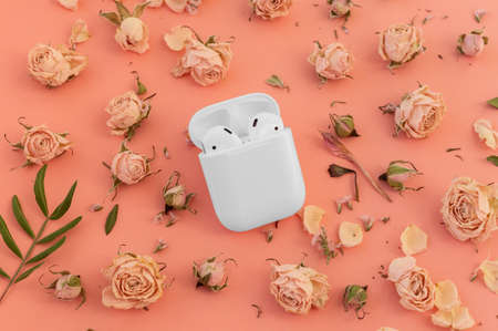 White wireless headphones in the case on playful pink background with delicate dry roses flowers.の写真素材
