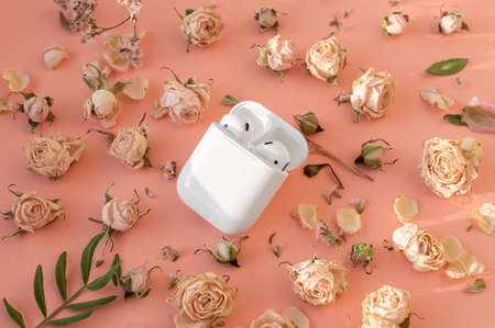 White wireless headphones in the case on playful pink background with delicate dry roses flowers. Beautiful sunlight and shadows, minimal trendy conceptの写真素材