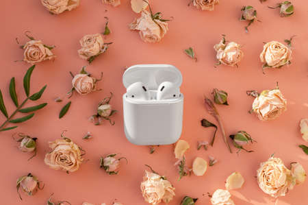 White wireless headphones in the case on playful pink background with delicate dry roses flowers. Beautiful sunlight and shadows, minimal trendy conceptの写真素材
