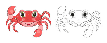 Crab line and color illustration. Cartoon vector illustration for coloring book.のイラスト素材