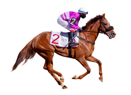 Horse racing jockey. Sport. Champion. Racetrack. Equestrian. Derby. Isolated on white background