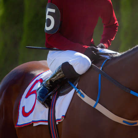 Hands and uniform of a jockey. Race horse in racing competition. Jockey on racing horse. Sport. Champion. Hippodrome. Equestrian. Derby. Closeupの写真素材