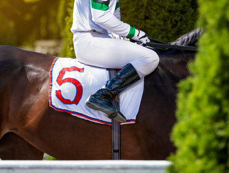 Hands and uniform of a jockey. Race horse in racing competition. Jockey sitting on racing horse. Sport. Champion. Hippodrome. Equestrian. Derby. Horse paddock. Closeupの写真素材