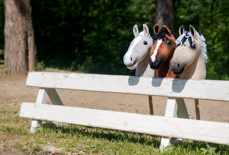 Three hobby horses are waiting for the riders. Equestrian sports. Equestrian equipment. Sports. Summer. The sun. Banner. Outdoors. Close-upの写真素材