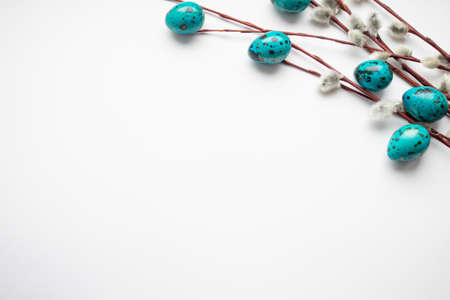 Background with the easter eggs and a willow branches.