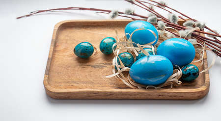 Blue Easter eggs and willow branches on the wooden plate on the white background.