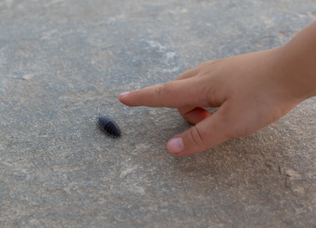 A childs hand points to a creeping insect woodlouse