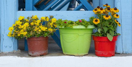 Flower pots on the street in Greece.の写真素材
