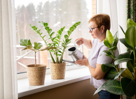 An elderly woman waters home plants on the windowsill from a watering can. Spring cleaning concept.の写真素材