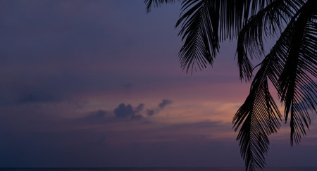 Palm trees outline at dusk in the Maldives. Bannerの写真素材