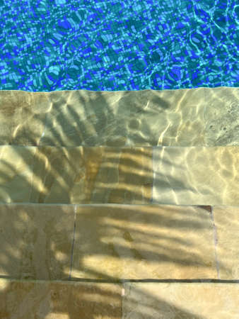 Hard shade from the palm leaves on the background of swimming pool