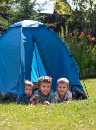 Three little boys lie in a blue tourist tent in the yard. The concept of sports, summer holidays, hiking and happy childhood.の写真素材