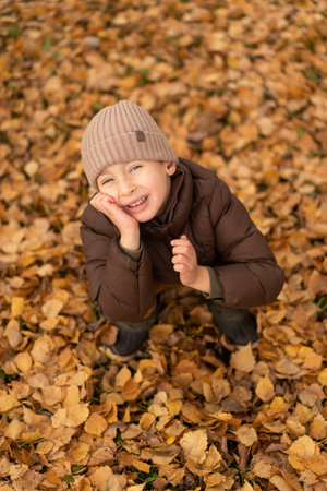 Little cute boy sits in yellow autumn foliage.の写真素材