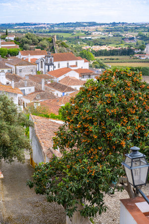 Obidos, Portugal. May 03, 2023. Views of the historical part of the city of Obidos in Portugalのeditorial素材