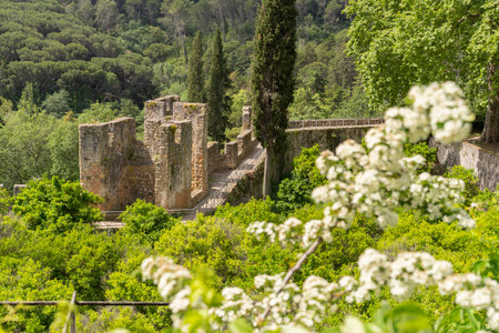 Castle of the Templar knights and the convent of Christ in Tomar (Thomar) Portugal.の写真素材