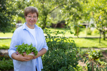Senior woman is gardening on beautiful sunny day.の写真素材