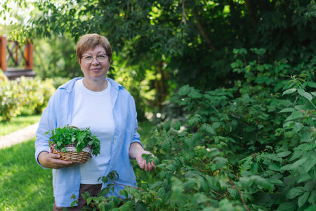 Senior woman is gardening on beautiful sunny day.の写真素材