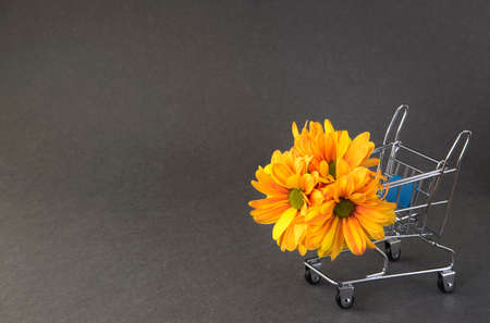Mini cart with bouquet of yellow and orange chrysanthemum flowers on gray background, copy space for text. Flower delivery concept.の写真素材