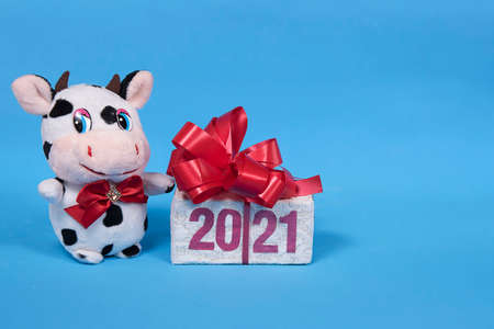 Happy Christmas white bull or cow toy and 2021 text on gift box. Blue background. Greeting card.の写真素材