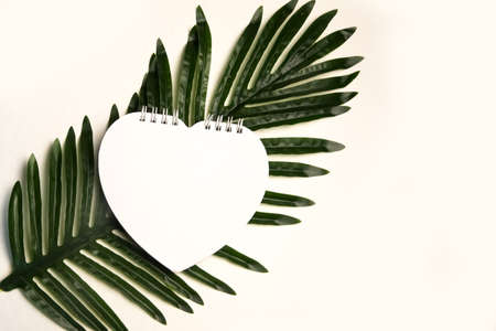 Mock-up scene. Blank heart-shaped notebook, green palm leaf isolated on white background. Tropic styled photo. Flat lay, top view. Wedding stationery.の写真素材