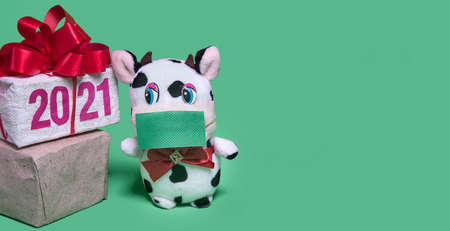 White cow bull wearing medical face mask. New Year celebration with covid-19 protection. Coronavirus prevention concept. Green background. Copyspaceの写真素材