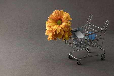 Bouquet of yellow chrysanthemum flowers in small shopping trolley on gray background, copy space for...