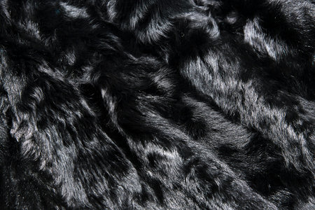 Black goat natural fur background texture for design, animal fell