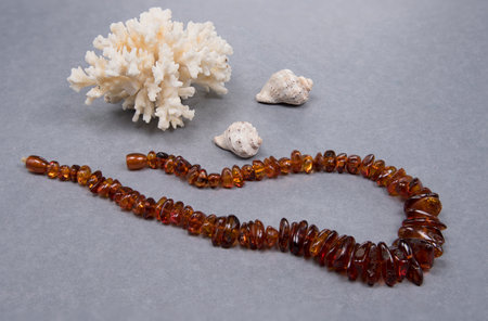 Amber jewelry necklace, white coral and seashell on gray background.