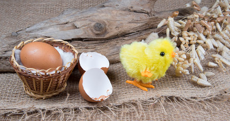 Toy easter chick creacking from eggshell on wooden background. Chick hatching from cracked chick...