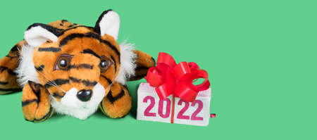 Tiger symbol of 2022 year and gift box with text 2022, isolated on green background. Copyspace for textの写真素材