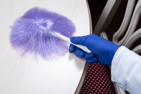 Housewife cleaning the house, wipes dust from table with blue whisk. Household chores. Domestic home...