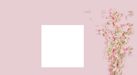 White business card mockup with dried grass decoration on pink table. Topview design, flatlay...