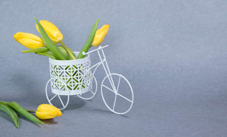 Toy white bicycle with bouquet of yellow tulip flowers on gray background. Copy space for textの写真素材