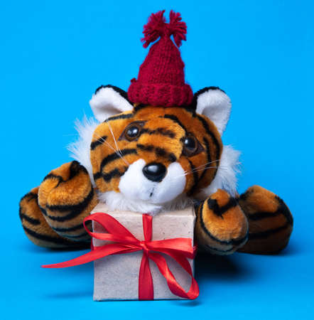Christmas tiger symbol of 2022 year and gift box, new year zodiac sign on blue backgroundの写真素材