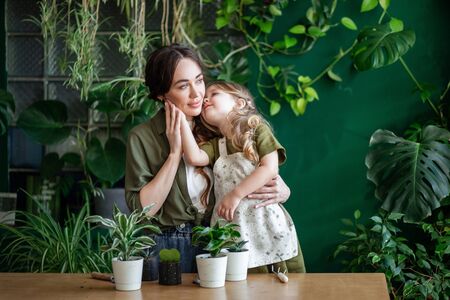 Mother and daughter plant green plants in the greenhouse.の写真素材