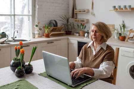Cheerful senior woman checking information on laptop online, video call to children or friends, busy working at computer. Senior people and technology conceptの写真素材