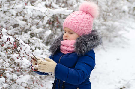 A girl in a pink hat plays with snow. Holidays with a child in winterの写真素材
