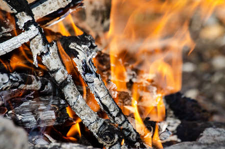 Open fire. A fire made of wooden firewood for cooking shish kebab