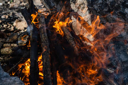 Open fire. A fire made of wooden firewood for cooking shish kebabの写真素材